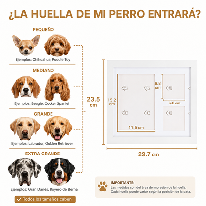 Kit de elaboración de huellas
